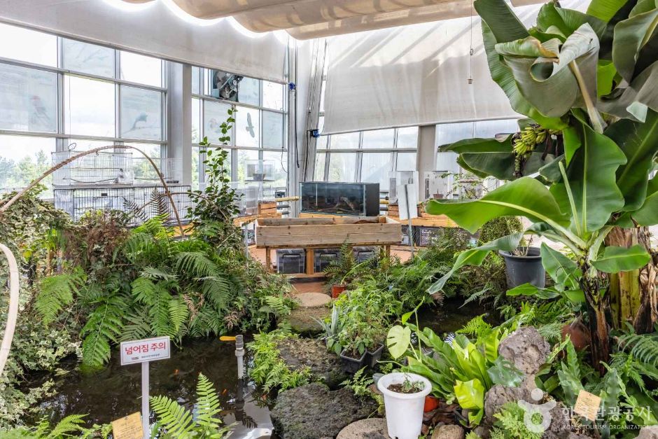 thumbnail-제주자연생태공원-2