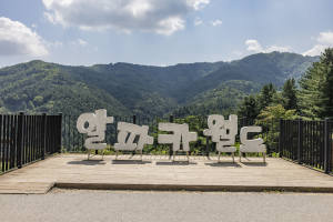 알파카월드 (1)