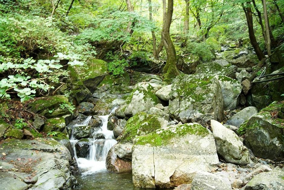 인제 미산리 개인약수 (13)