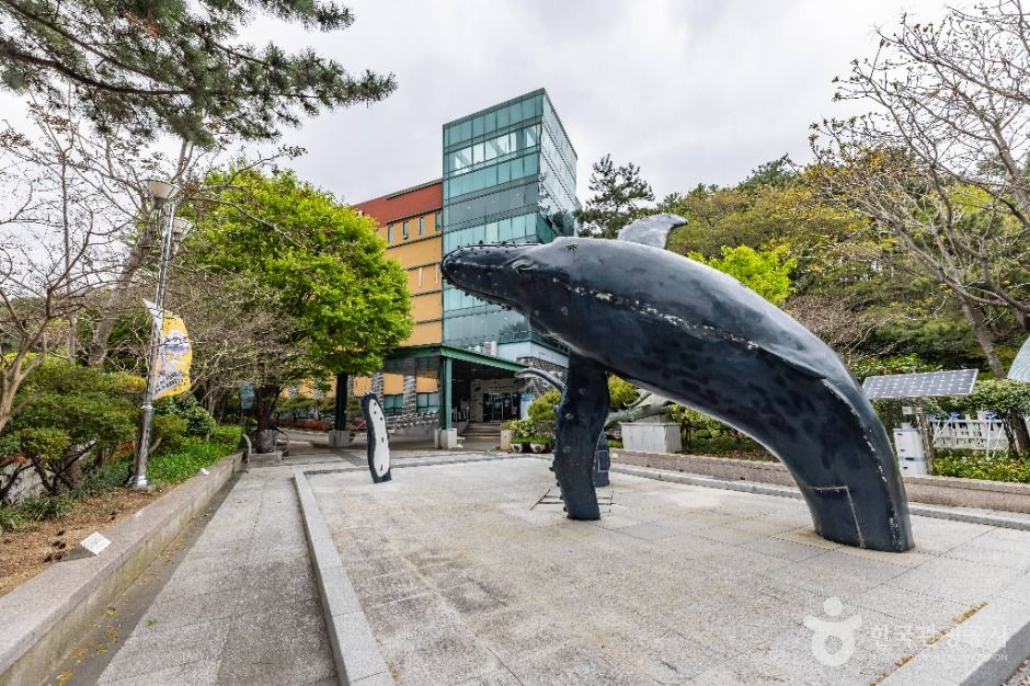 부산_부산해양자연사박물관 (1)