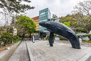 부산_부산해양자연사박물관 (1)