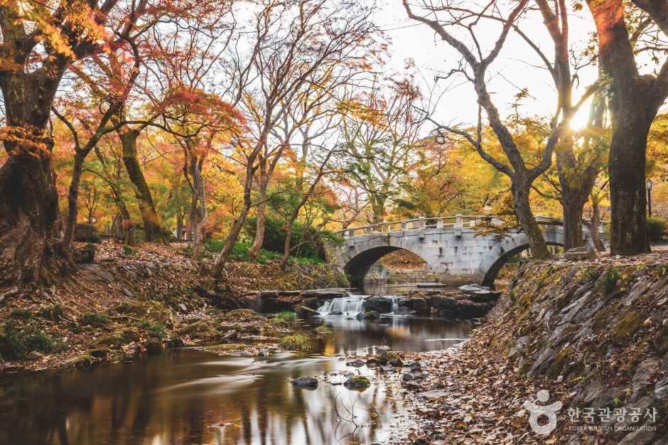 선운사(고창)