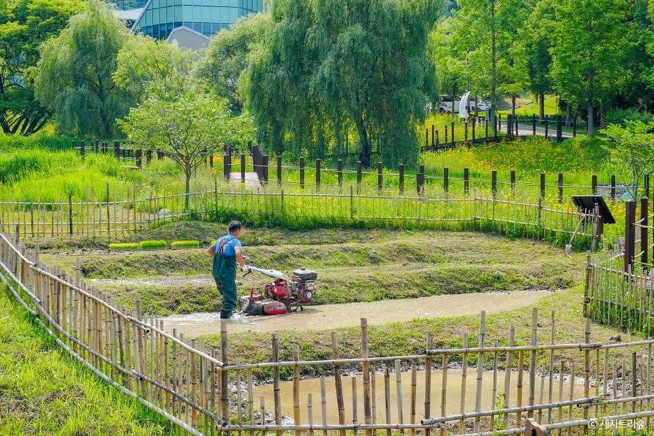 통영RCE세자트라숲