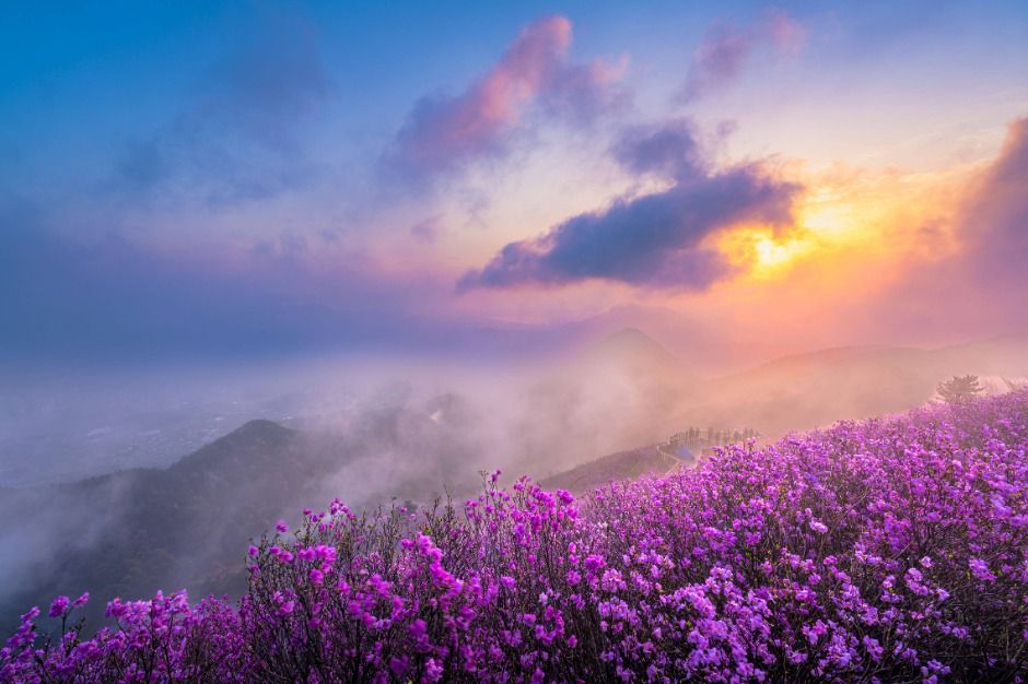 천주산