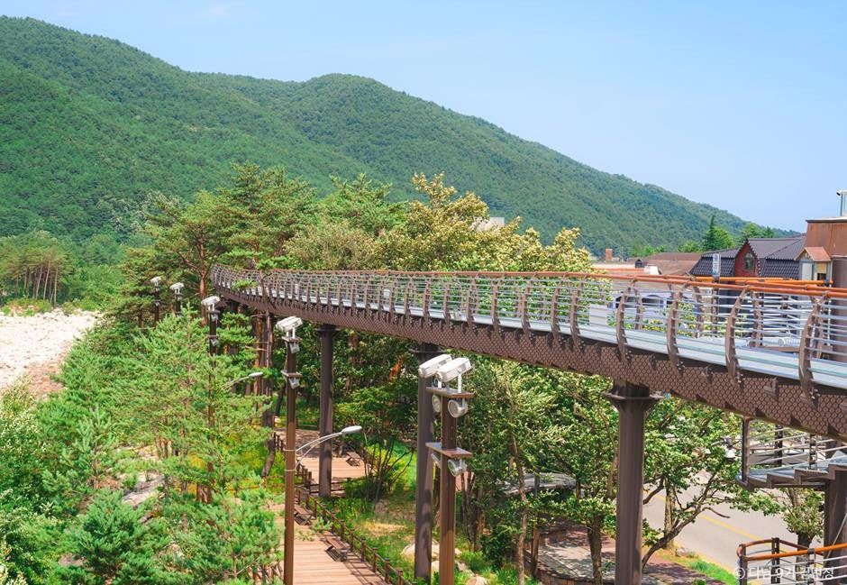 설악향기로