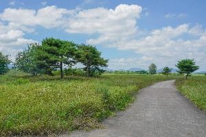 김해_술뫼생태공원 (3)