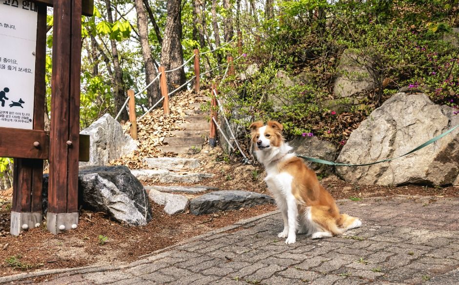 충주_켄싱턴리조트 충주 (6)