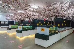 창녕_창녕우포곤충나라 (3)
