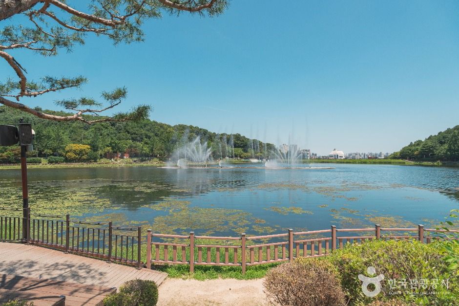 thumbnail-설봉저수지-1