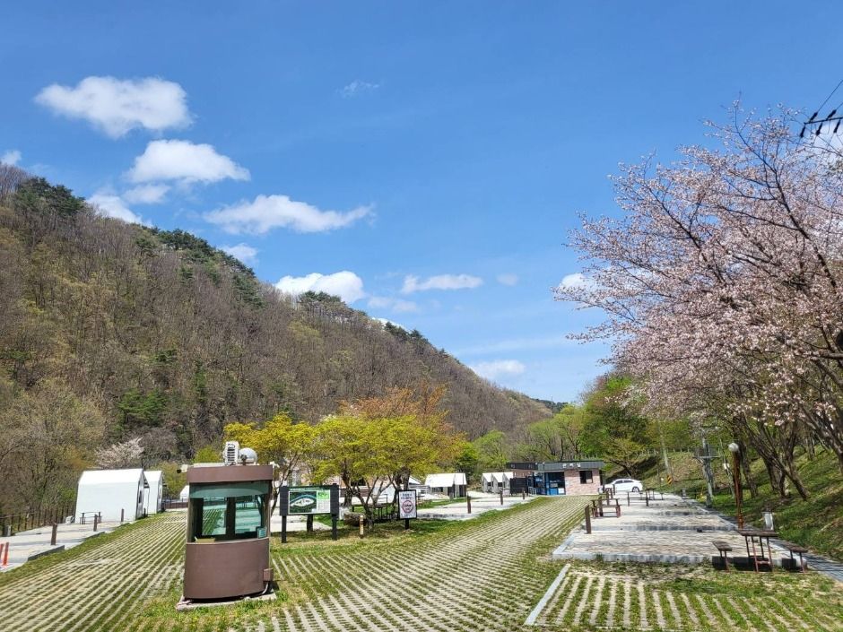 남원_덕동자동차야영장 (5)