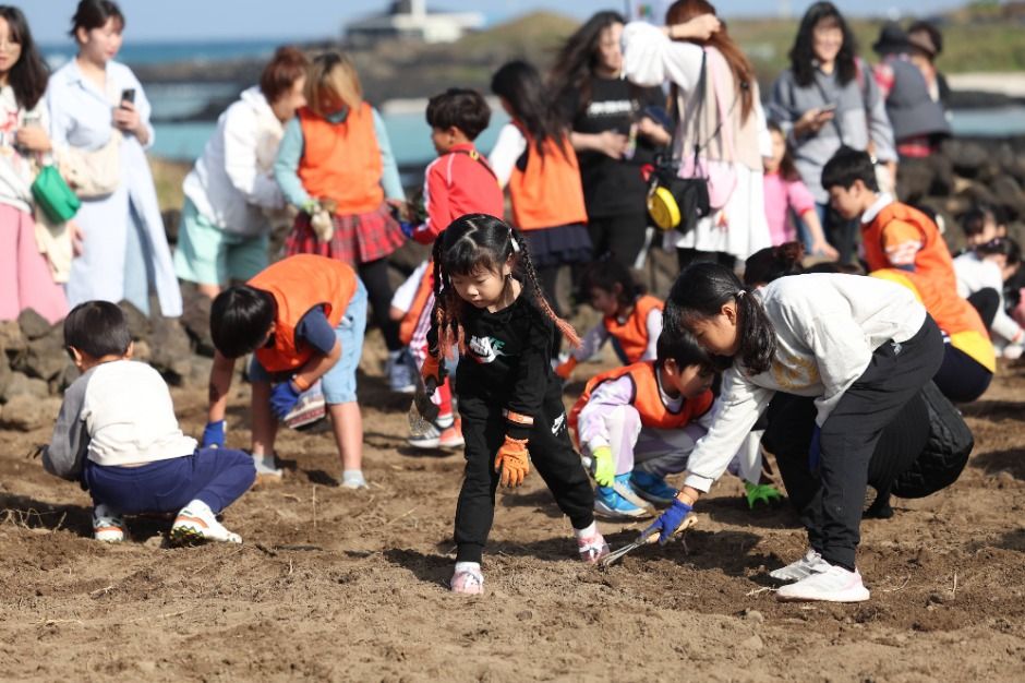 thumbnail-제주밭담축제-8