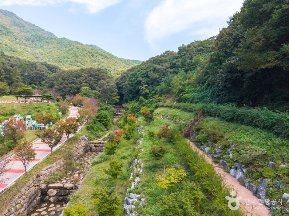 팔공산금화자연휴양림