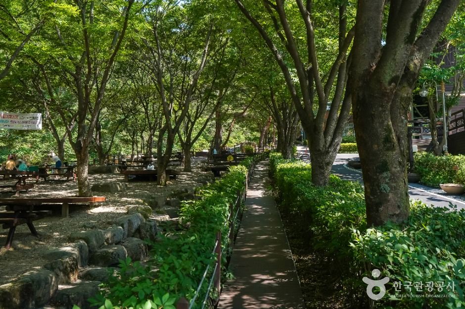 thumbnail-화원자연휴양림-6