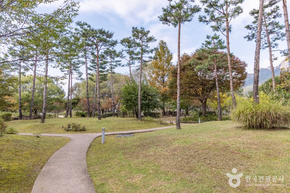 서울_서울창포원 (3)