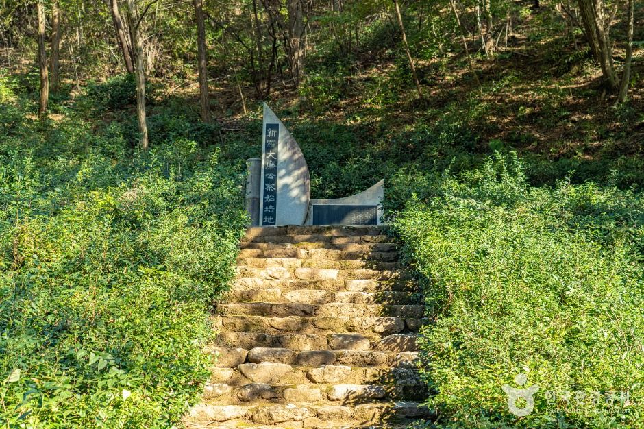 thumbnail-구례장죽전녹차시배지-2