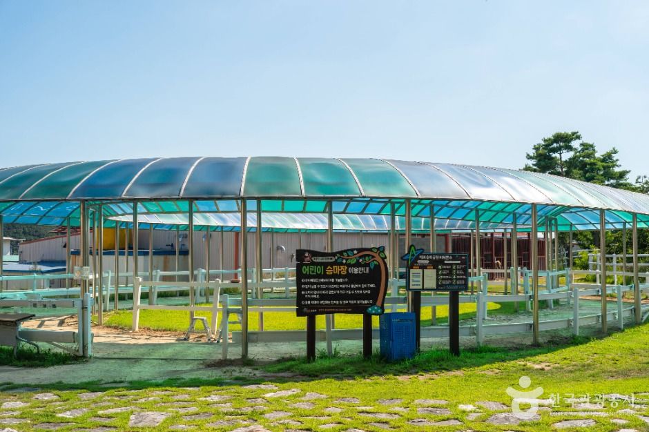 영천_말문화체험관 (3)