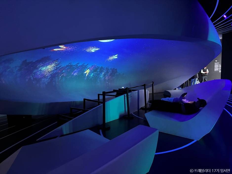 서울에서 강원도 속초 당일치기 여행 버스노선 뮤지엄엑스 아바이마을 맛집 수험생 할인_뮤지엄엑스_1-13