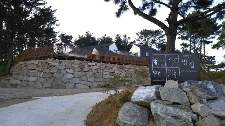 태안_애견민박 멍집_전경 (1)
