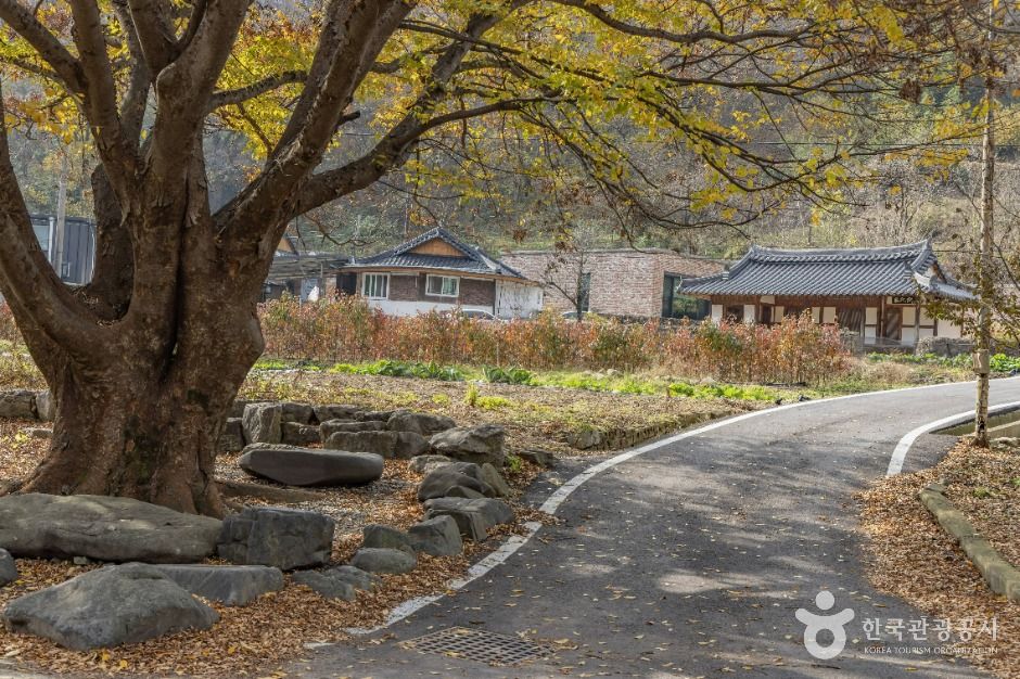 임실김용택시인문학관