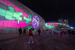 겨울밤 DDP를 물들이는 서울라이트, 빛의 파도 여행기 2025 서울라이트 DDP 겨울 4