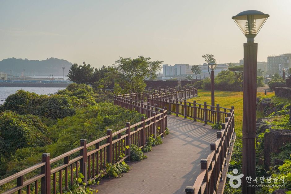 서귀포_[하영올레] 2코스 (4)