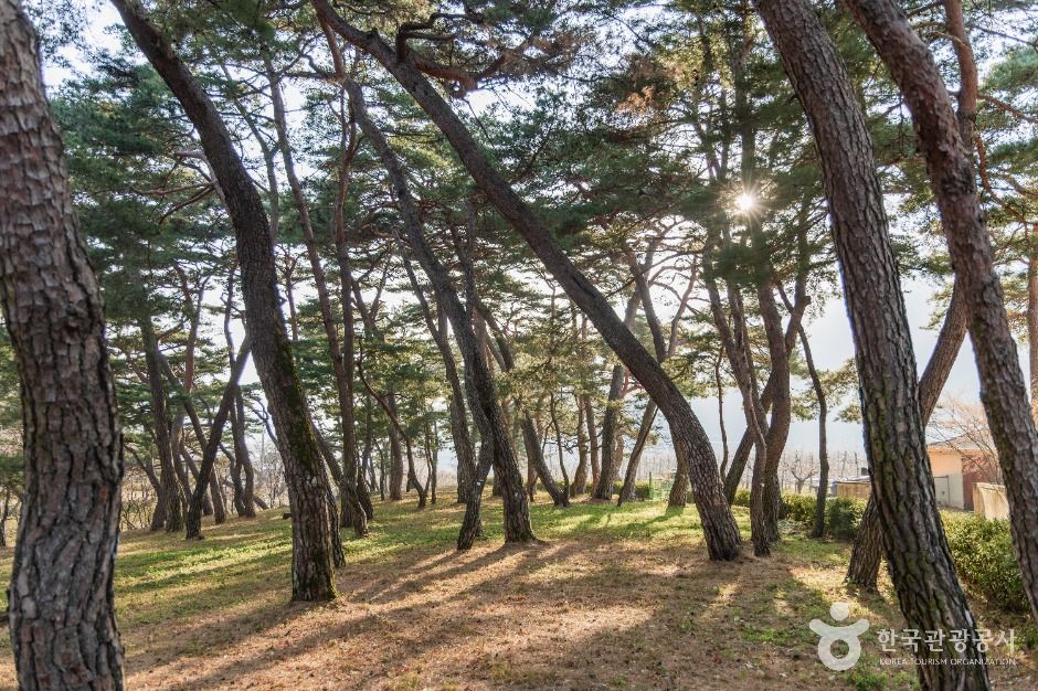 포항 덕동문화마을