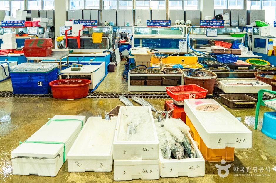 완도_완도 금일 수협활·선어위판장 (7)