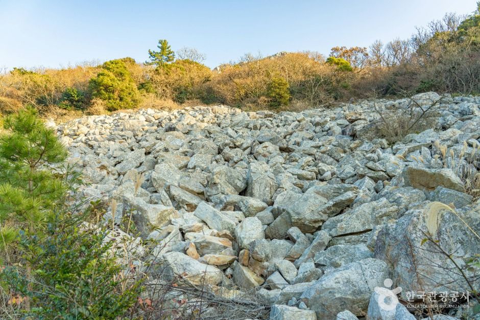 해남_달마고도 (9)