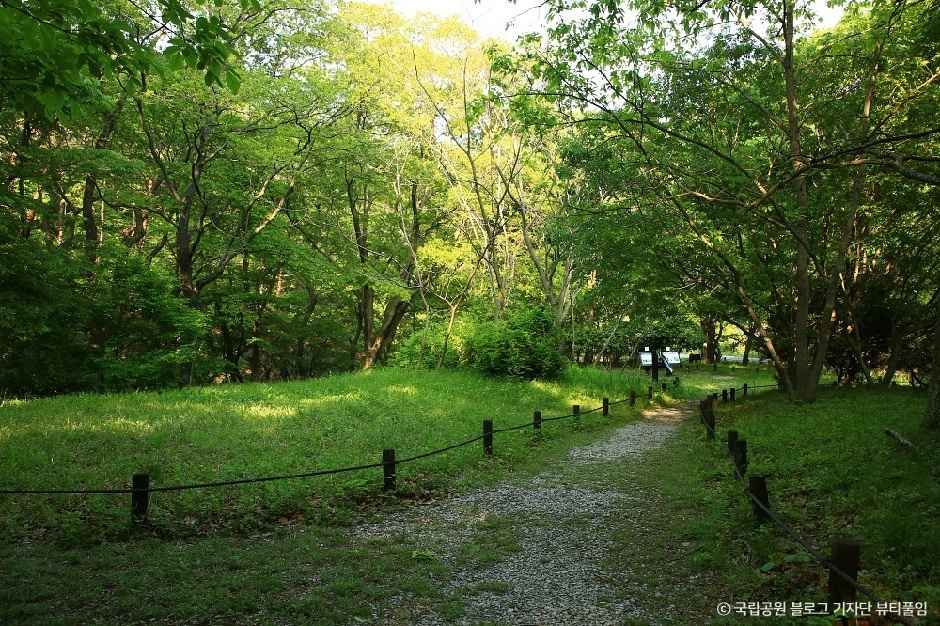 thumbnail-내변산-0