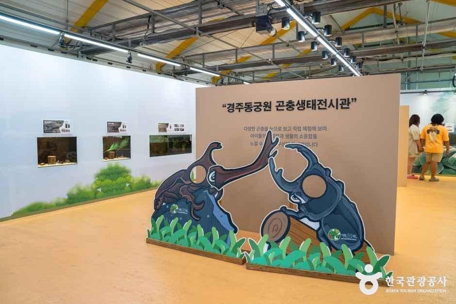 thumbnail-경주 동궁원-12