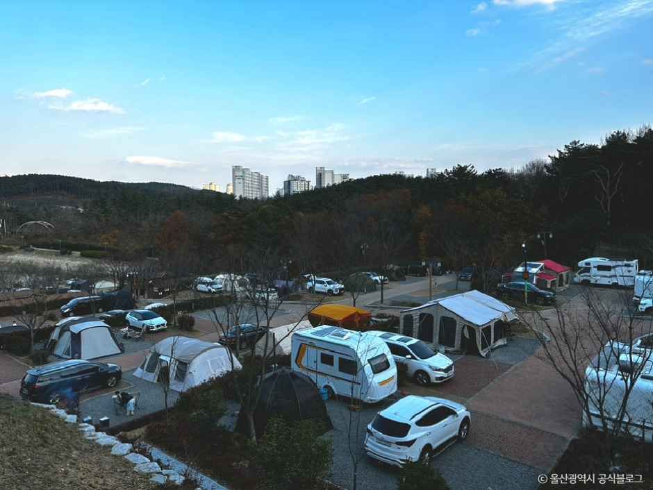 thumbnail-태화연오토캠핑장-6