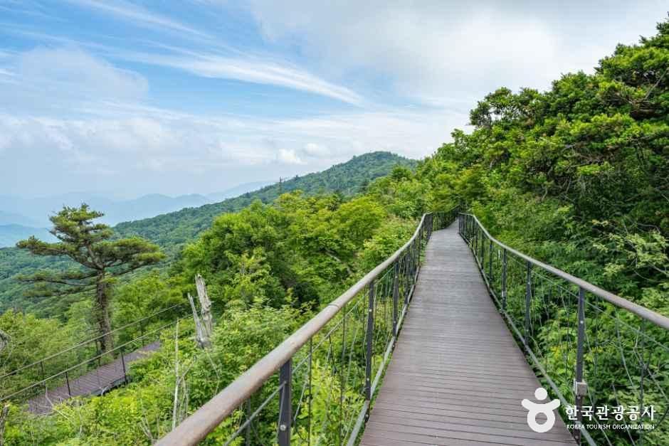 thumbnail-모나용평-5