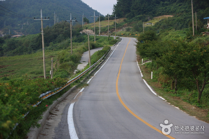 백수해안도로 사진13