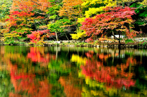 선운산도립공원 사진20