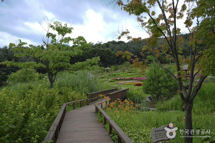 Yongin Agricultural Theme Park (용인농촌테마파크) 