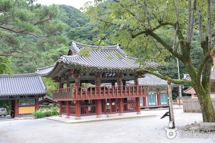 Baegyangsa Temple (고불총림 백양사)