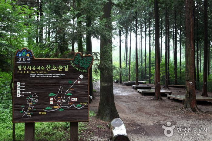 곳곳에 마련된 쉼터