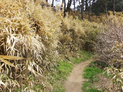 Haengnam Coastal Walking Path (행남 해안산책로)