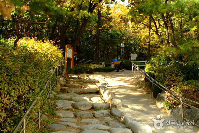 Cheongdam-Park (청담공원)