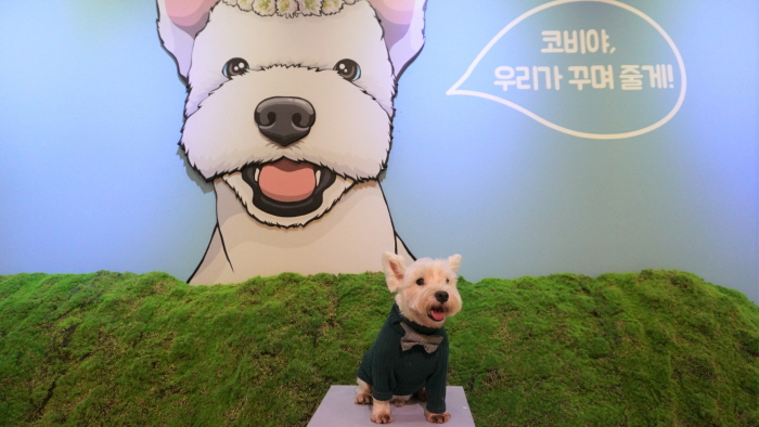 개인취향 展 20199