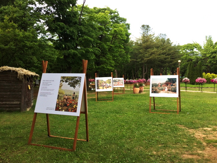 Festival del Rosedal del Gran Parque de Seúl (서울대공원 장미원축제)