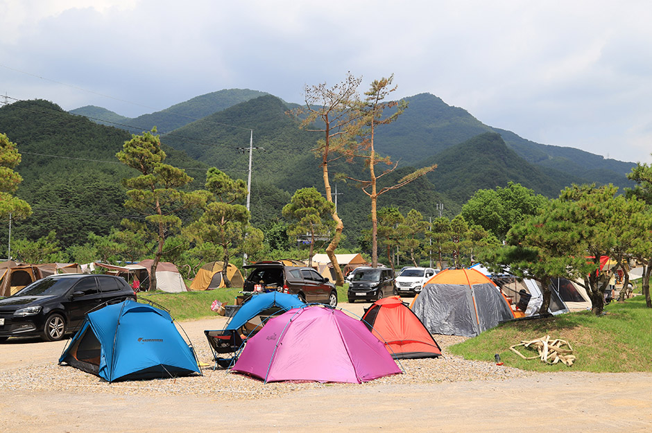 김삿갓 계곡 캠핑장
