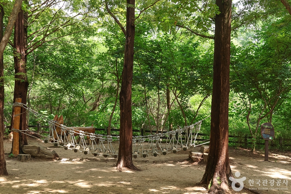 월드컵공원 유아숲체험원