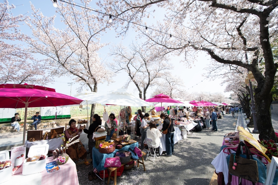Festival de los Cerezos de Gyeongju (경주 대릉원돌담길 벚꽃축제)