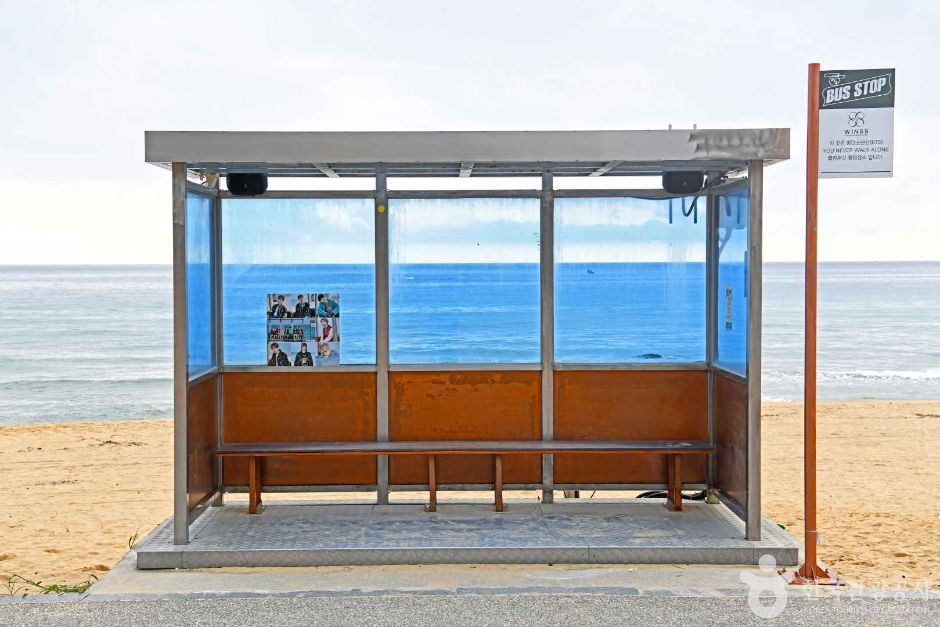 BTS Bus Stop (주문진읍 BTS 앨범사진 촬영지 (버스정류장))