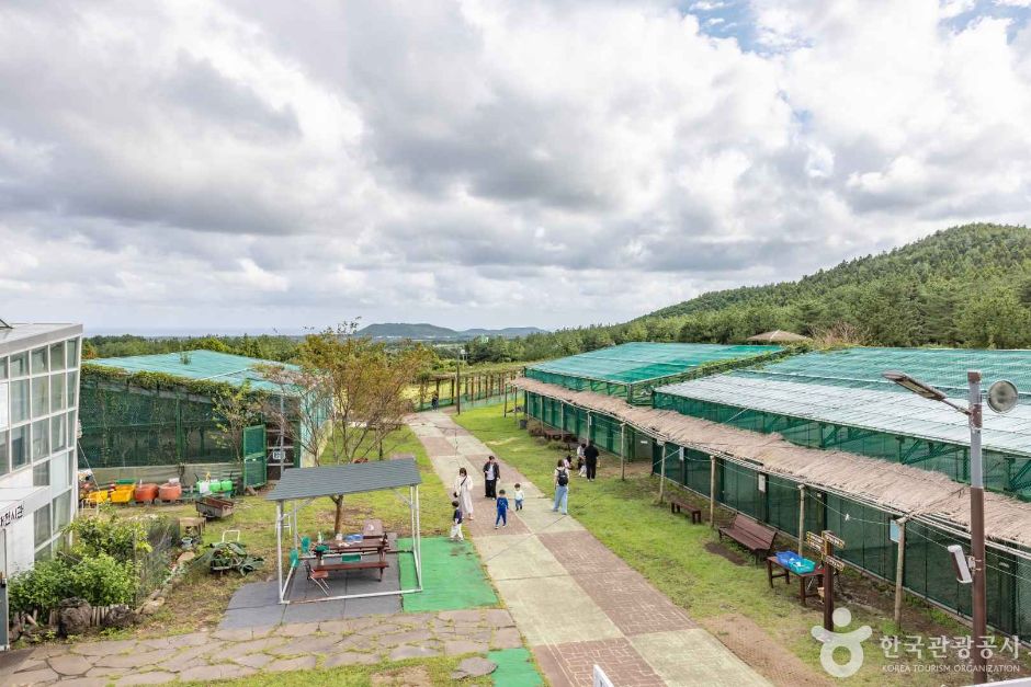 thumbnail-제주자연생태공원-3