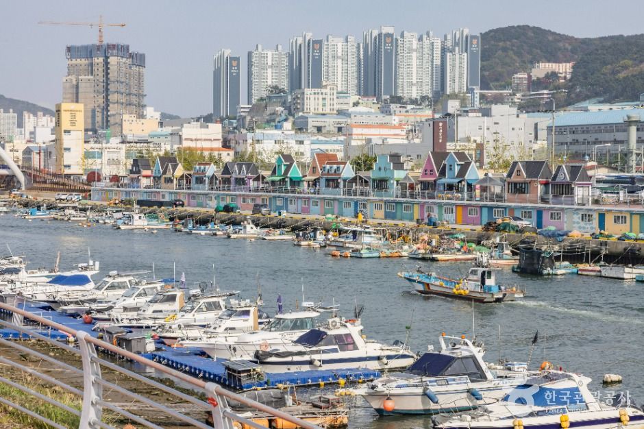 장림포구