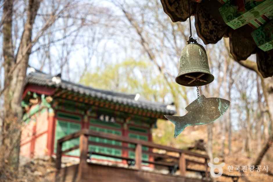 철원 도피안사