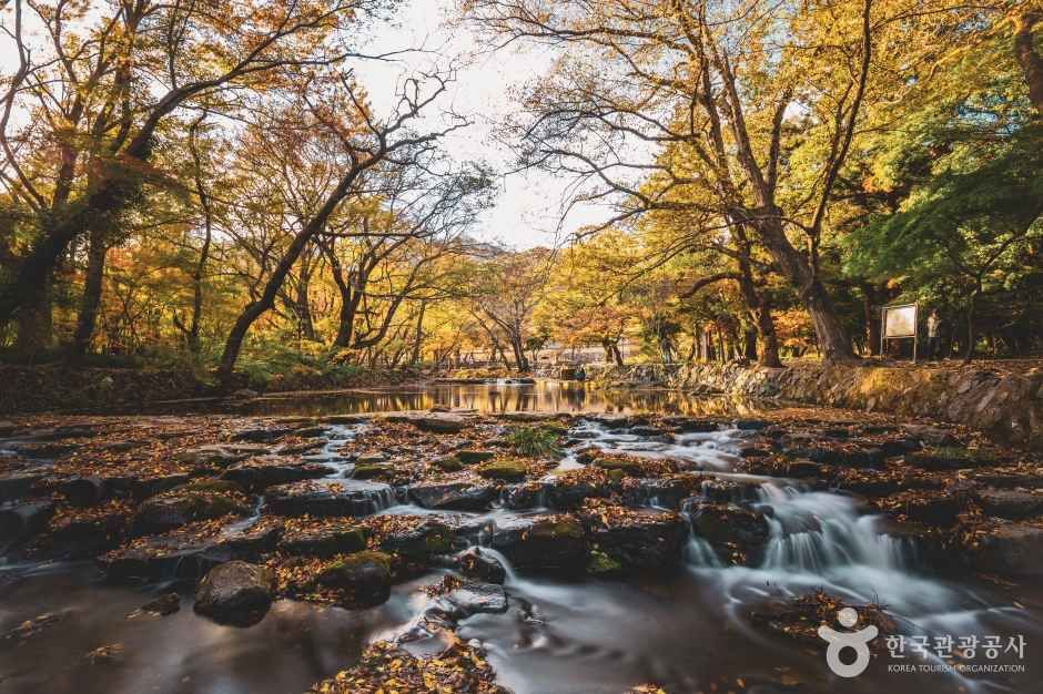 선운사(고창)