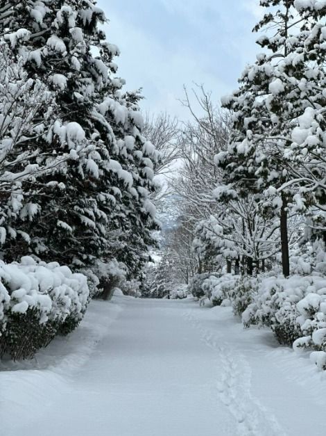 thumbnail-남원 아담원-36